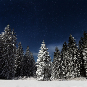 日韩大胆无码视频
