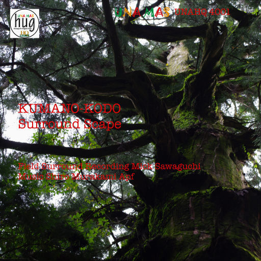 日韩大胆无码视频
